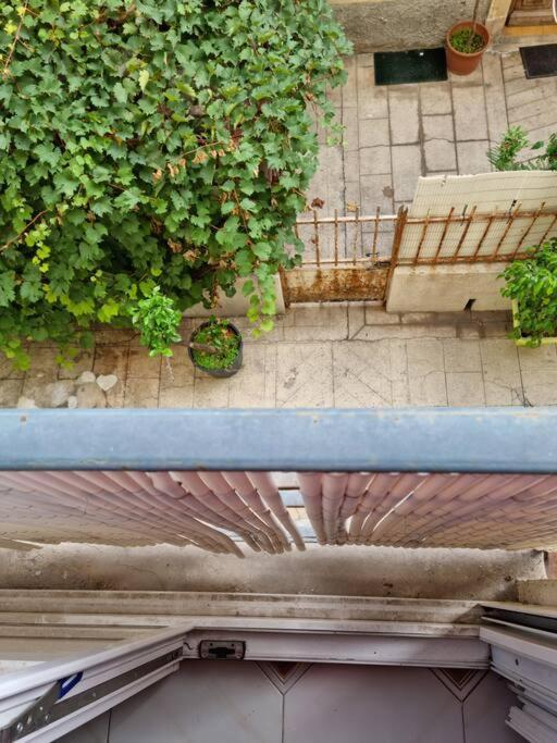 ניס Appartement 2 Pieces מראה חיצוני תמונה